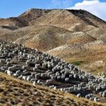 Ankara: guía completa de lugares y experiencias