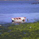 Descubriendo Rianxo, una pequeña joya en la ría de Arousa