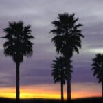 Secretos únicos de Totana: lugares que ver en Murcia