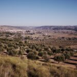 Explora Morata de Tajuña: lugares que ver y experiencias únicas