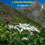 Guía imprescindible de cosas que ver en Portimão
