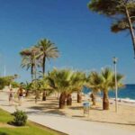 Qué hacer en Pineda de Mar: el paraíso del camping